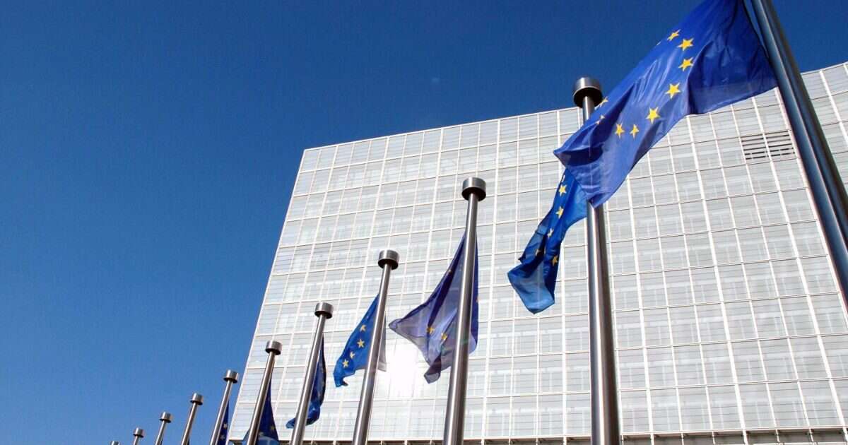 L’Ue: “Nel 2023 evasione Iva in forte aumento”. I dubbi sul miglioramento registrato dopo la pandemia: rischio illusione ottica