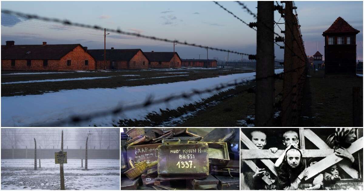 Giornata della Memoria, 80 anni dopo la liberazione di Auschwitz la minaccia è il negazionismo che “normalizza” la Shoah. Ecco le fake news più diffuse