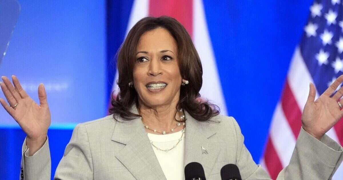 Kamala Harris ora deve scegliere il suo vicepresidente: ecco chi sono i 6 possibili candidati