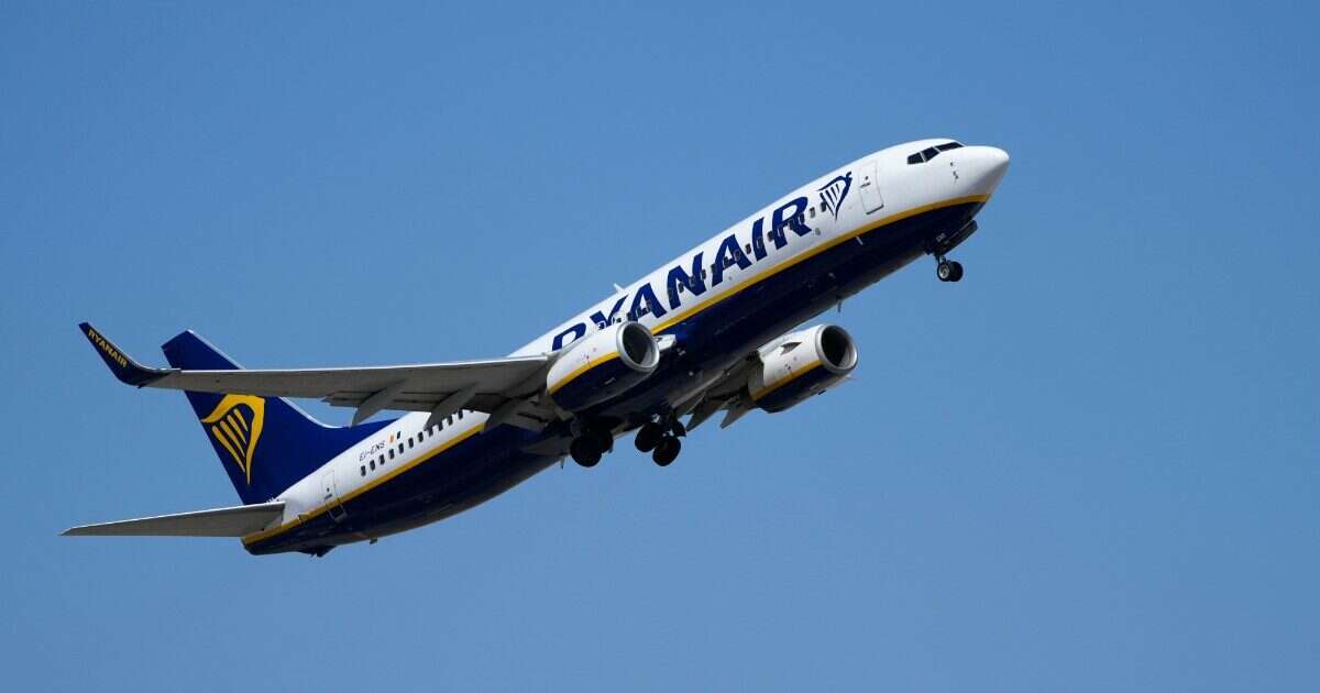 Pagati costi extra per il check-in? Adesso Ryanair dovrà rimborsare i passeggeri: ecco chi potrà ottenerlo e a quanto ammonta