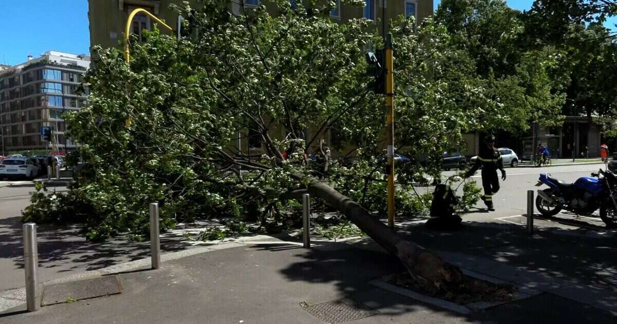 Milano, forti raffiche di vento in città: allerta arancione, chiusi i parchi pubblici