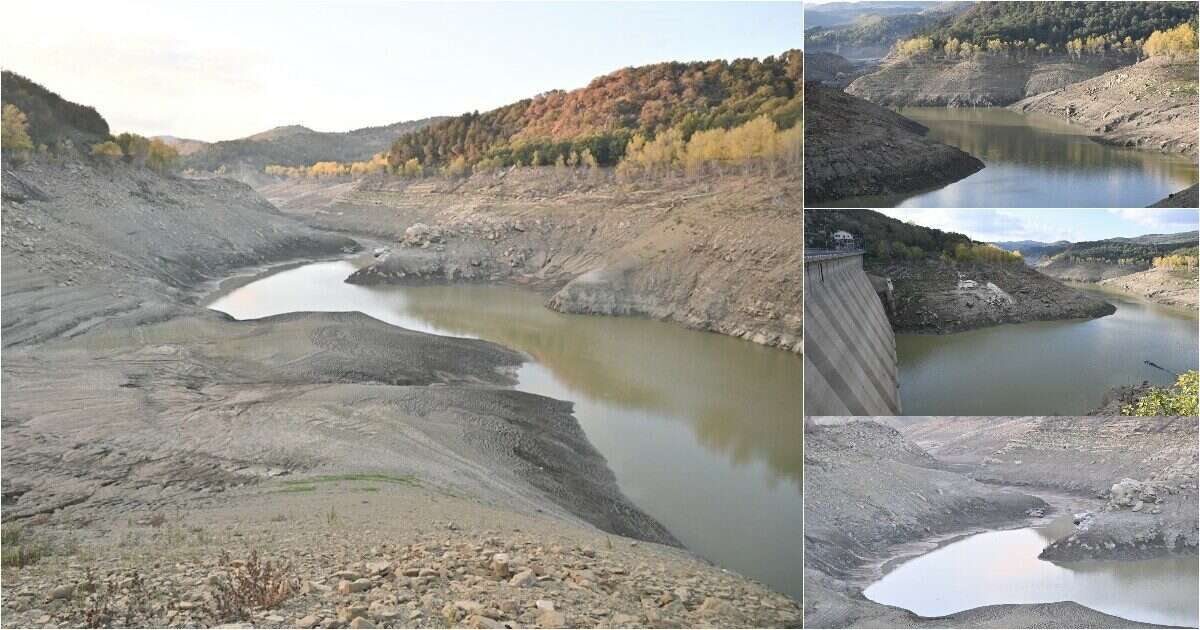 In Sicilia è emergenza siccità pure a novembre: nella diga Ancipa sta finendo l’acqua, tagliata l’erogazione. I cittadini: ‘Non possiamo lavarci’