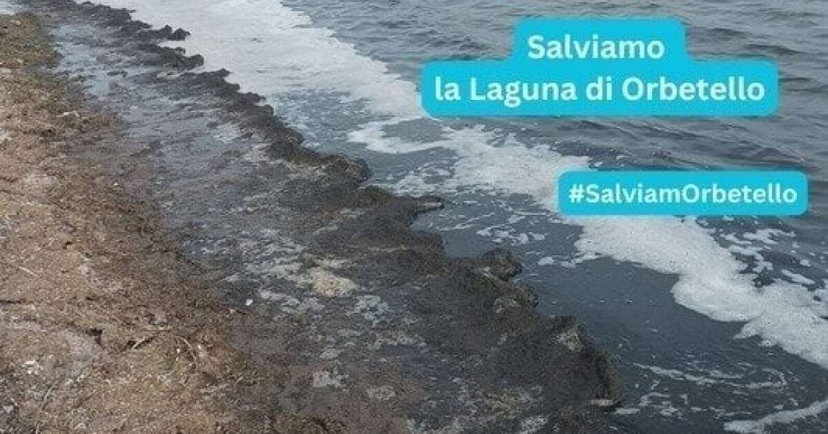 Orbetello, emergenza moscerini: raccolte oltre 9mila firme per chiedere l’intervento della Regione