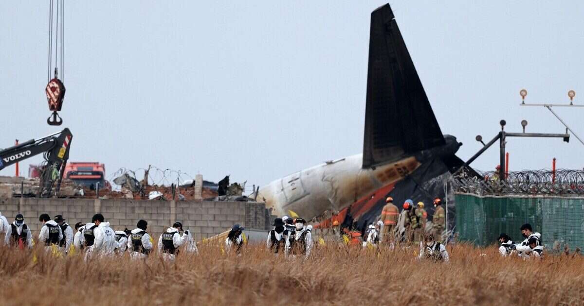 Corea del Sud, aereo si schianta in fase di atterraggio a Muan: almeno 167 morti, 2 superstiti. Ipotesi bird strike e maltempo