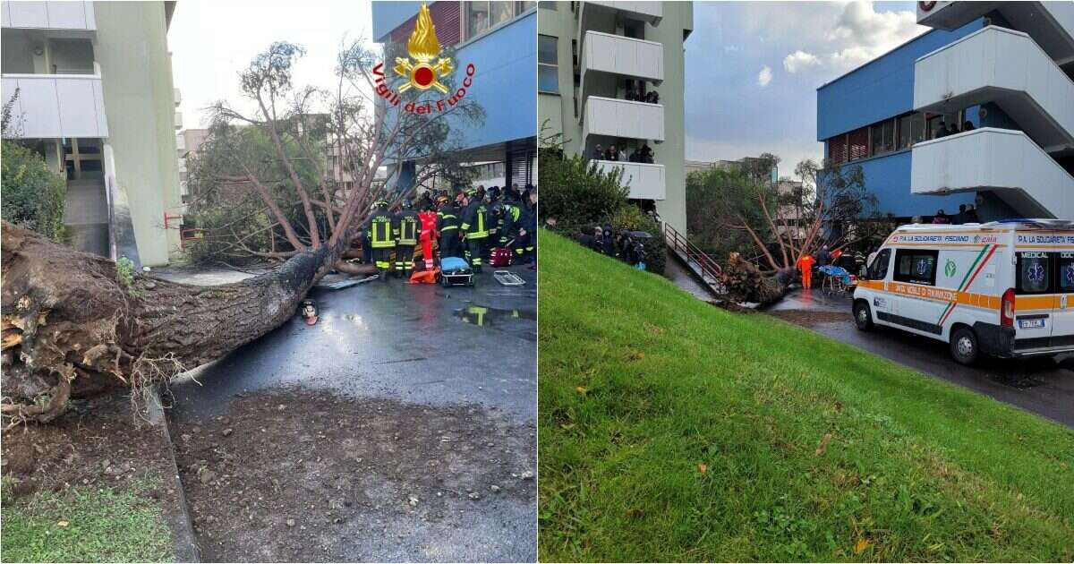 Salerno, a causa del forte vento cade un albero di grosse dimensioni al campus universitario: 5 studenti feriti, uno è in terapia intensiva