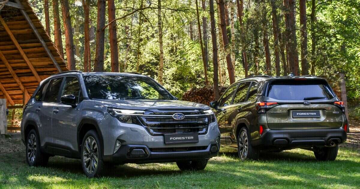 Subaru Forester, la prova de Il Fatto.it – Asfalto o fango, per lei pari sono – FOTO