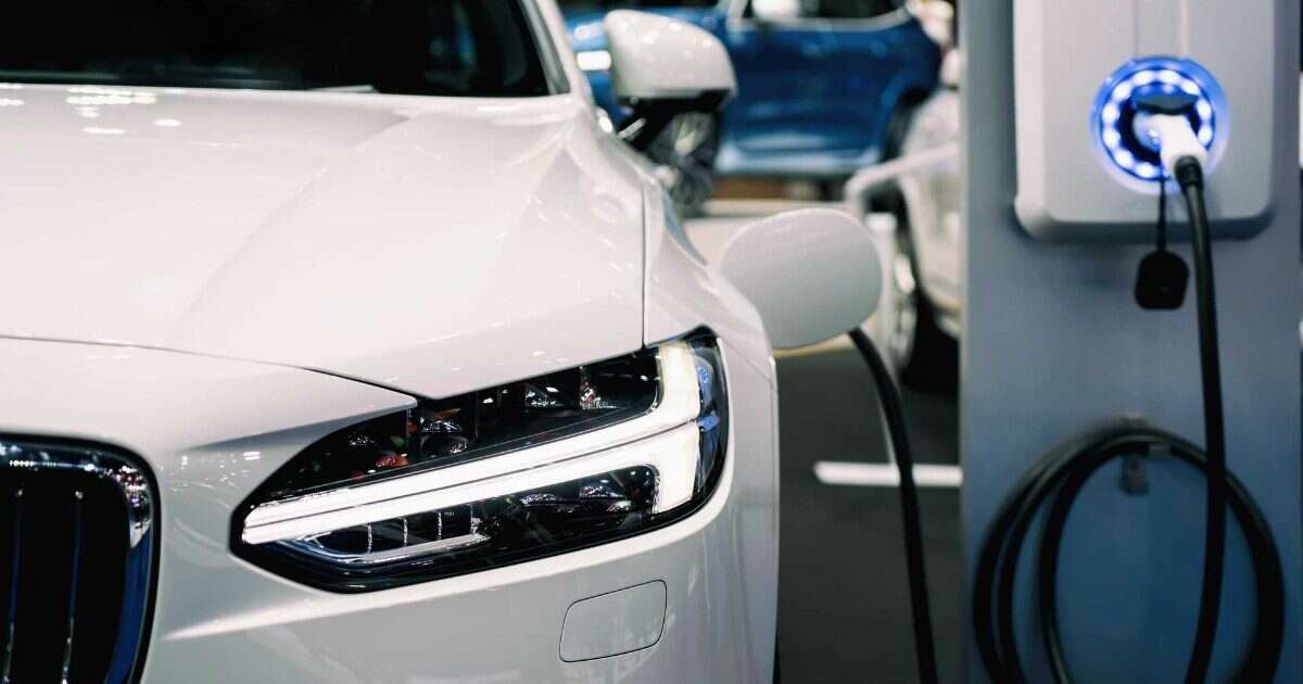 Auto elettriche, lo studio Jato Dynamics: “Più costose del 25% rispetto alle endotermiche. Ma nel 2025 modelli sotto i 30 mila euro”