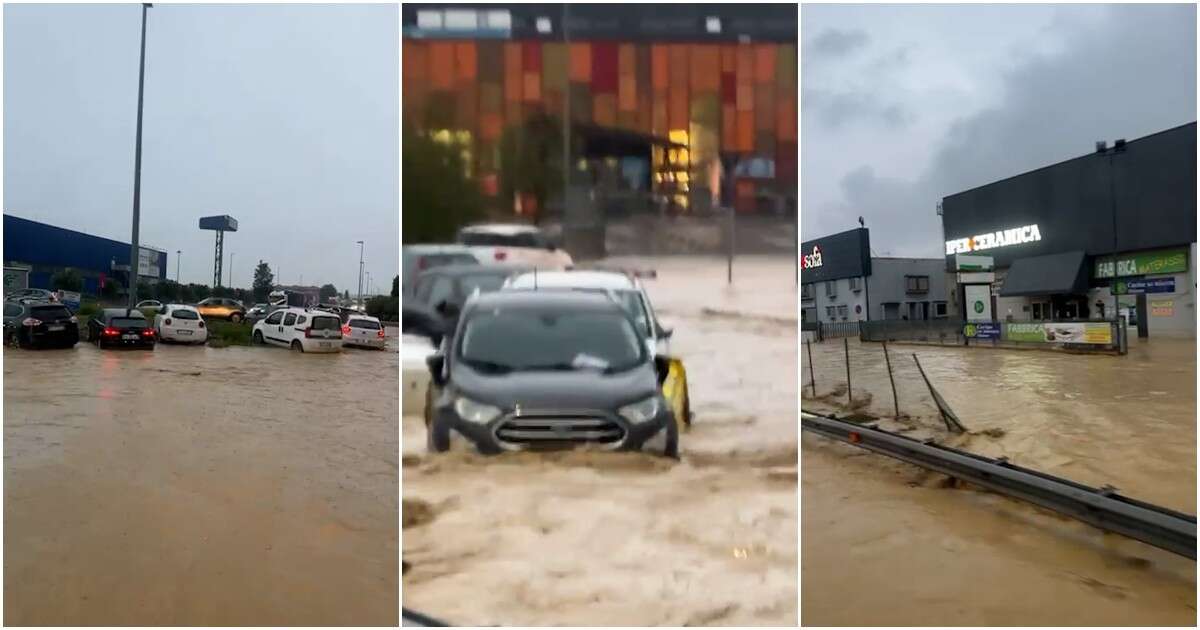 Alluvione nelle Marche, ad Ancona straripa il torrente Aspio: allagata la statale 16. Le auto si mettono in salvo sulle rotatorie – Video