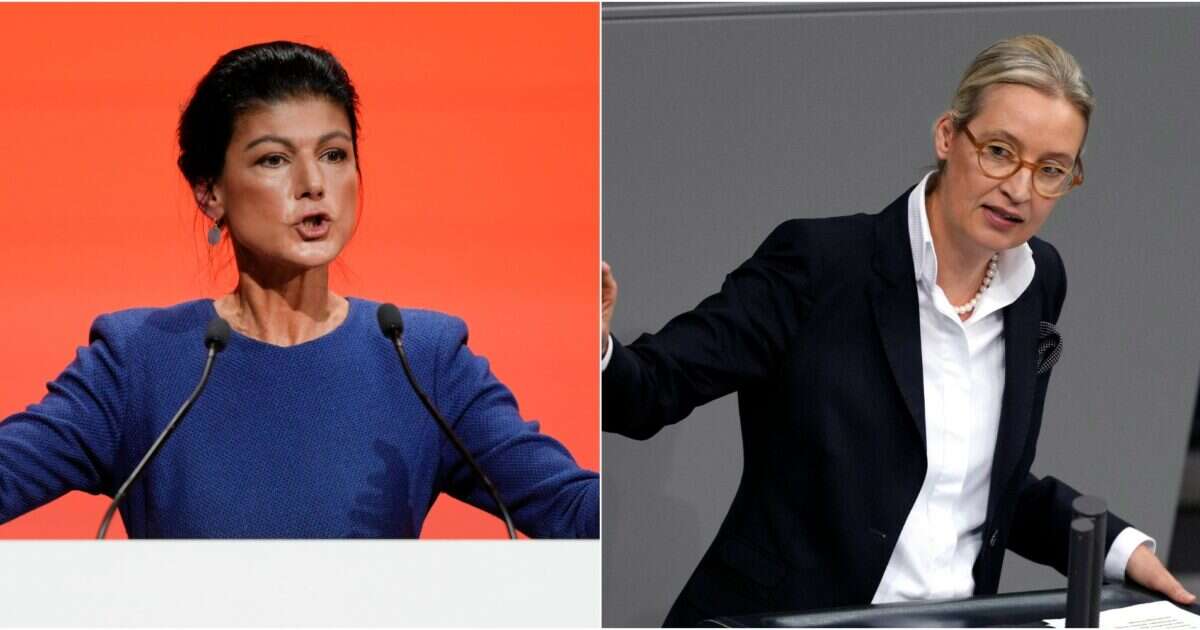 Elezioni in Germania: AfD e Sahra Wagenknecht, i due partiti esclusi (per ora) da tutte le alleanze. Dai migranti ai sussidi: i programmi