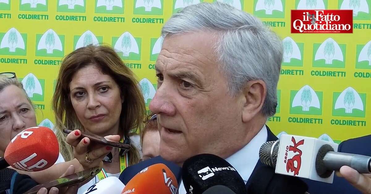 Tajani esulta: “Forza Italia centrale in Europa. Elezione von der Leyen rassicura i mercati”. E appoggia (con Lollobrigida) Fitto commissario