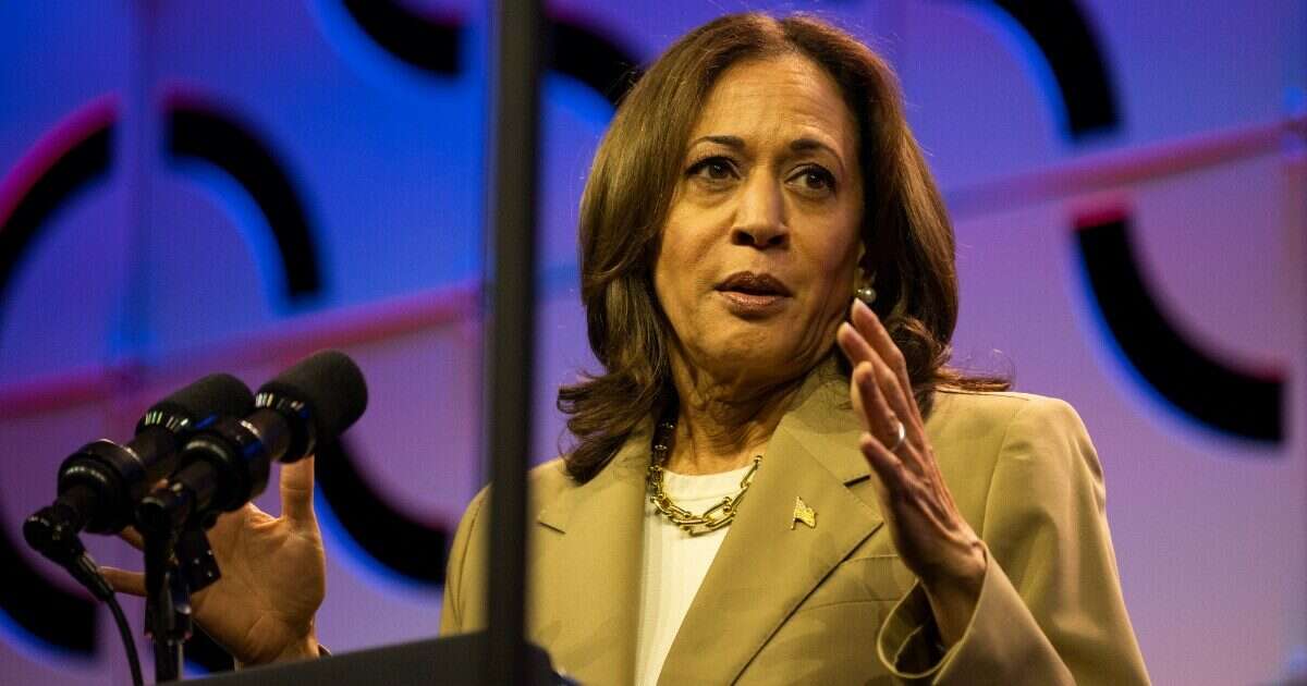 Kamala Harris, chi è la donna destinata a prendere il posto di Biden come candidata