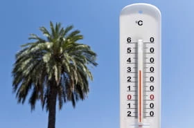 Canicule en France : des départements en vigilance orange, une chaleur étouffante qui est loin d'être finie