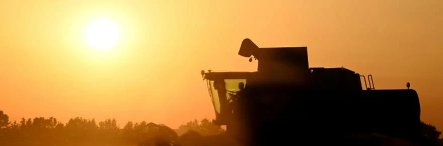 Agriculture: le Parlement adopte la loi Duplomb et la réintroduction sous conditions d'un pesticide