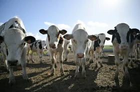 Agriculture: l'Assemblée s'empare du projet de loi pour répondre à la colère