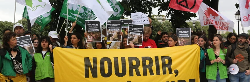 La loi Duplomb votée mais pas promulguée, ces procédures qui peuvent tout remettre en cause