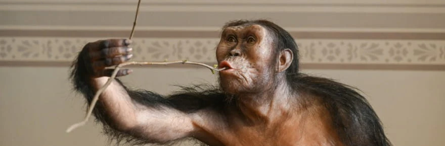 Premier voyage en Europe de l'australopithèque Lucy, exposée à Prague