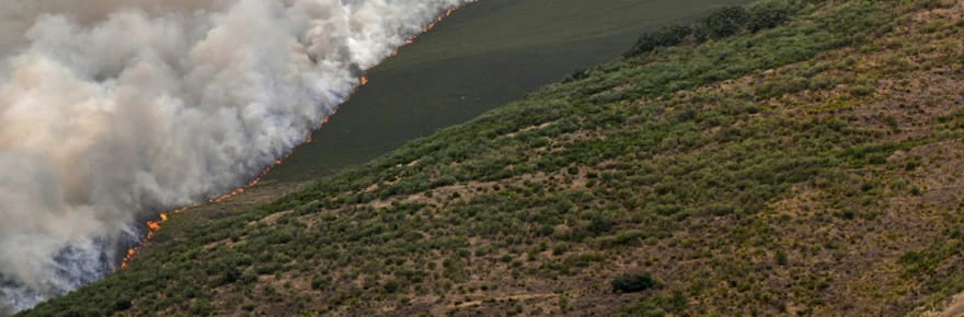 Lutte sans répit contre les incendies en Espagne et au Portugal, déjà six morts