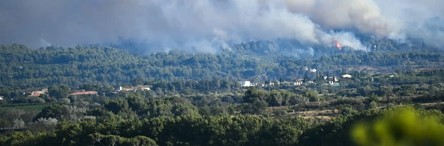 Feux de forêt: à la mi-saison estivale, déjà 15.000 hectares brûlés en France