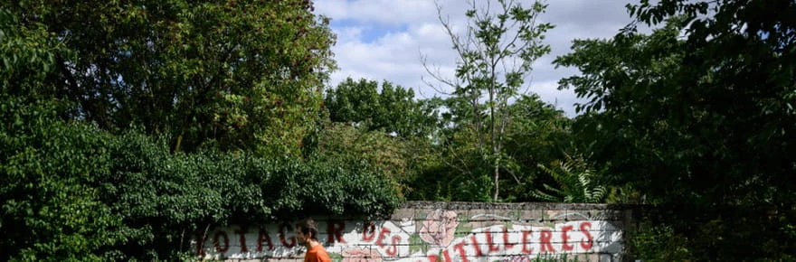 A Dijon, la seule ZAD urbaine de France en sursis