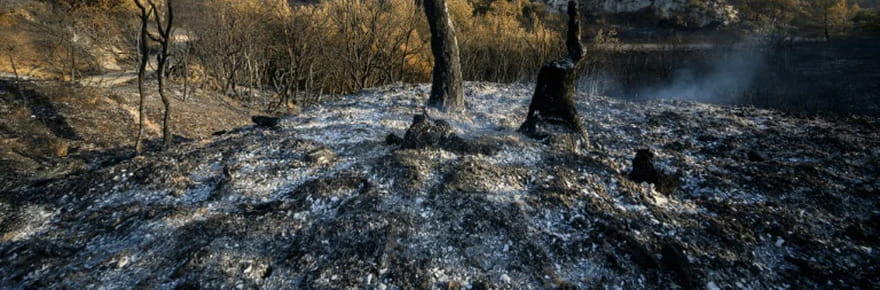 Le feu de l'Aude est sous contrôle mais pas encore éteint