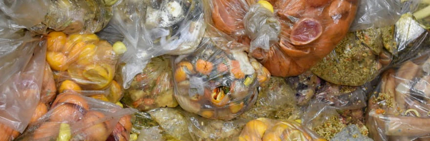 L'UE s'attaque au gaspillage alimentaire et à la fast fashion