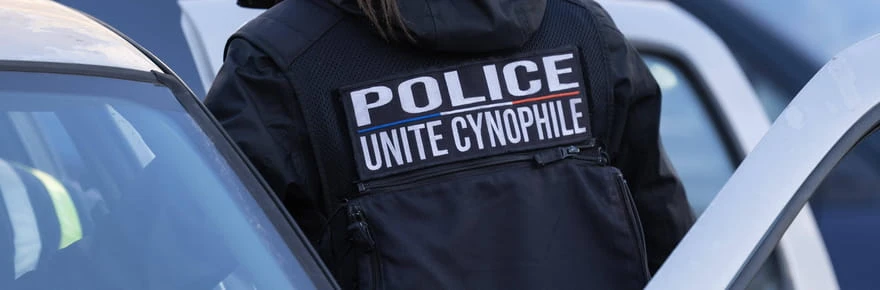 Disparition de Manon Relandeau : un SMS au cœur des soupçons