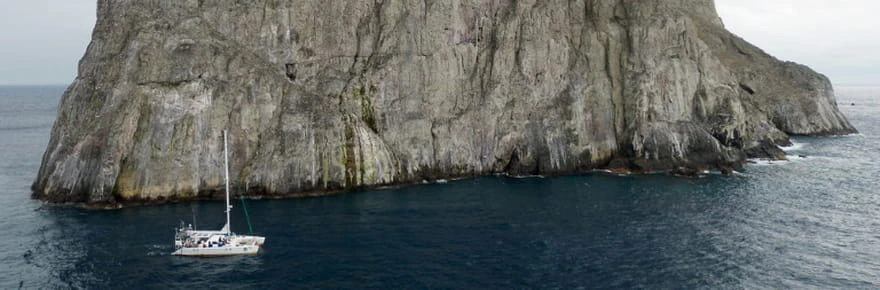 Dans le Pacifique colombien, un catamaran au chevet du royaume des requins