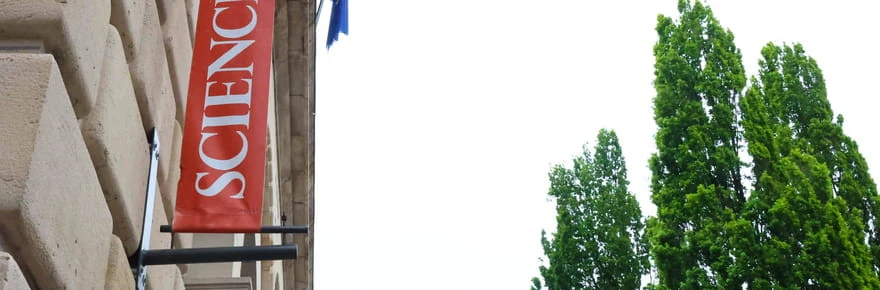 Etudiante palestinienne désinscrite de Sciences Po Lille : ce qui est reproché à Nour Attalah