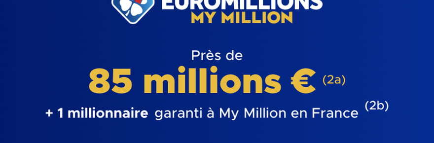 Résultat Euromillions (FDJ) : le tirage de ce mardi 29 octobre 2024, 85 millions d'euros en jeu