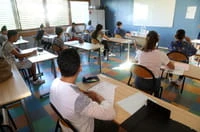 DIRECT. Sujet de brevet de sciences : le sujet dans son intégralité... et son corrigé !