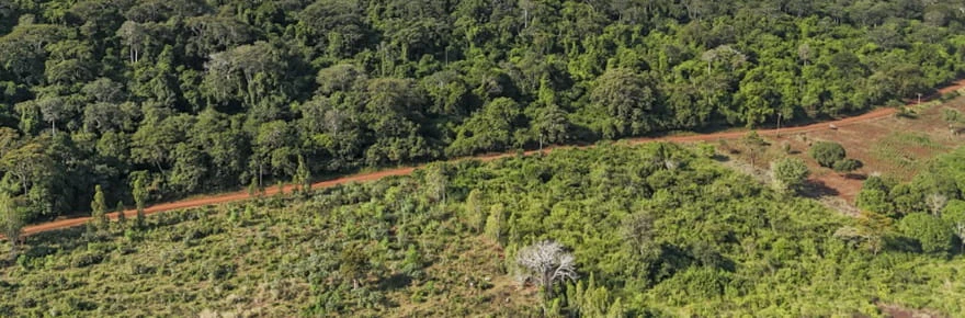 Au Kenya, cinq petits villages et une forêt au cœur de la course mondiale aux terres rares