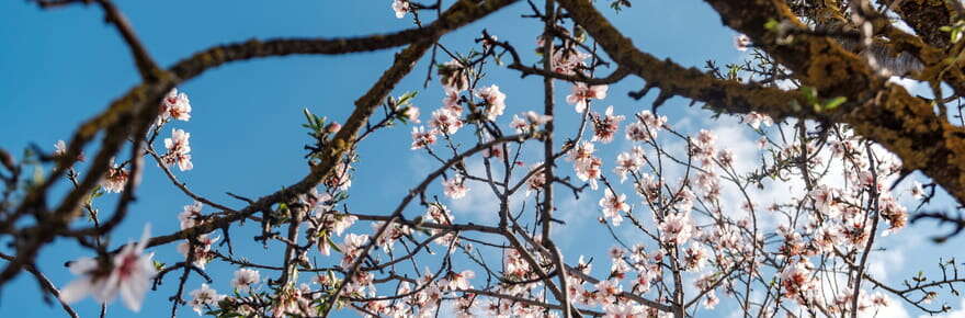 Météo : les prévisions pour mars, avril et mai se précisent, une très bonne nouvelle annoncée pour le printemps