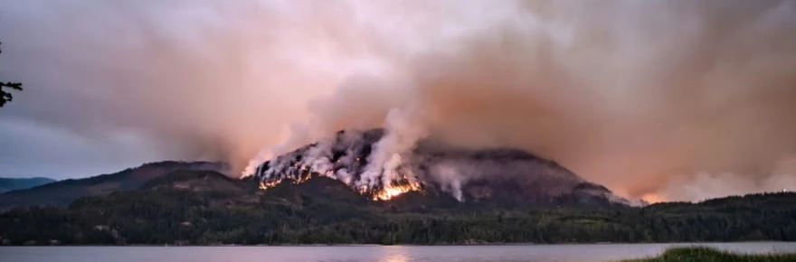 En Amérique du Nord, les feux balayent les avancées contre la pollution, selon une étude