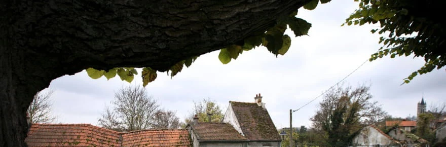 À Goussainville, la renaissance d'un village fantôme
