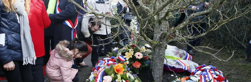 Seine-Saint-Denis : l'arbre en hommage à Ilan Halimi abattu, une enquête est ouverte, ce que l'on sait