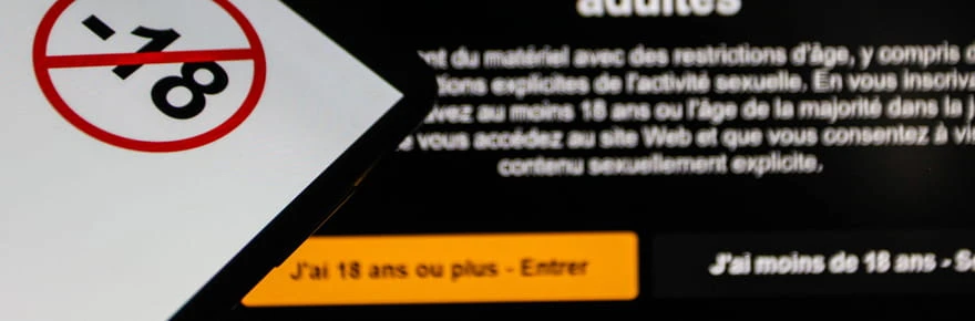 Pornhub, YouPorn et Redtube : la justice annonce la réouverture des sites contre l'avis du Gouvernement