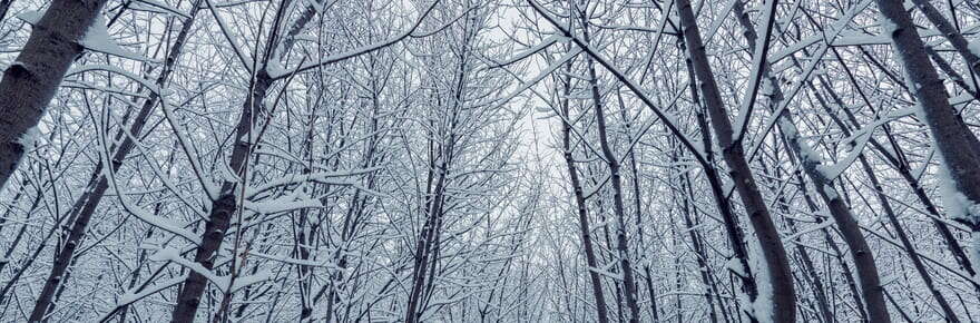 La neige arrive dans ces départements loin de la montagne, deux scénarios possibles