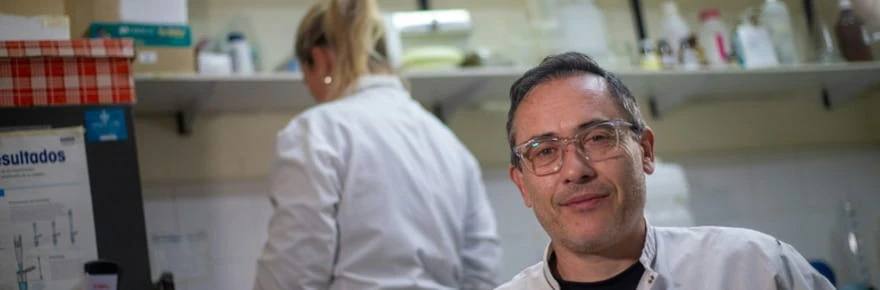 Hantavirus: ce que l'Argentine sait, et ne sait pas, de son expérience du virus
