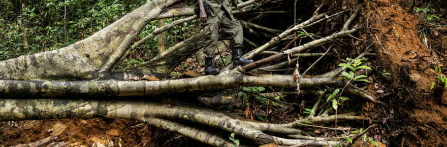 Les gardiens de Kambui livrent un combat inégal contre les chercheurs d'or et la déforestation