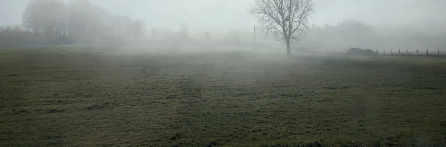 Une chute vertigineuse des températures et de la neige : à cette date, le froid s'installe !