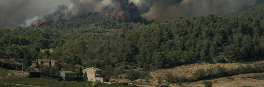 Incendie dans l'Aude: 10.000 hectares parcourus, un blessé grave, axe France-Espagne fermée