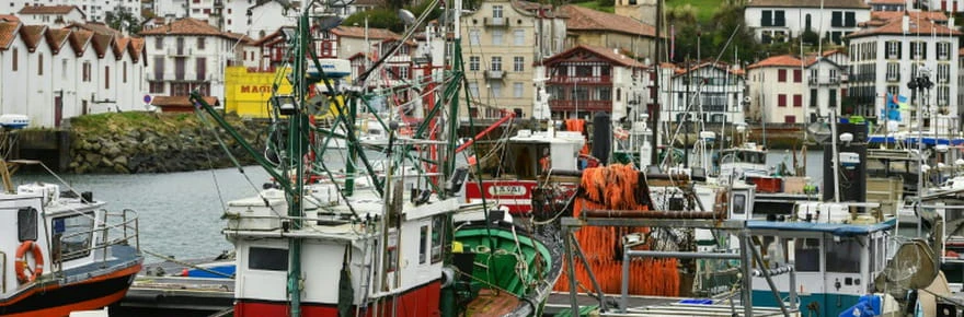 Protection des dauphins: nouvelle période sans pêche dans le golfe de Gascogne en 2027