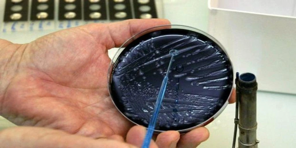 Los genes que podrían ponerte en mayor riesgo frente al Covid-19