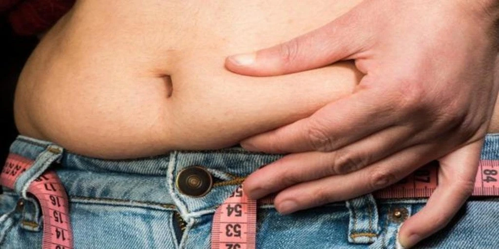 Obesidad e hígado graso: ¿cómo puede protegernos una microbiota intestinal saludable?