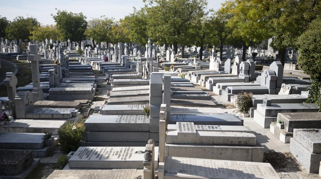 La Almudena, «desierta» en el Día de Todos los Santos: «No es normal»