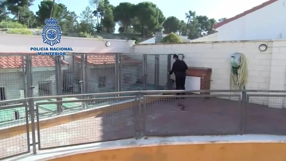 Treinta detenidos en una investigación contra un grupo de proxenetas