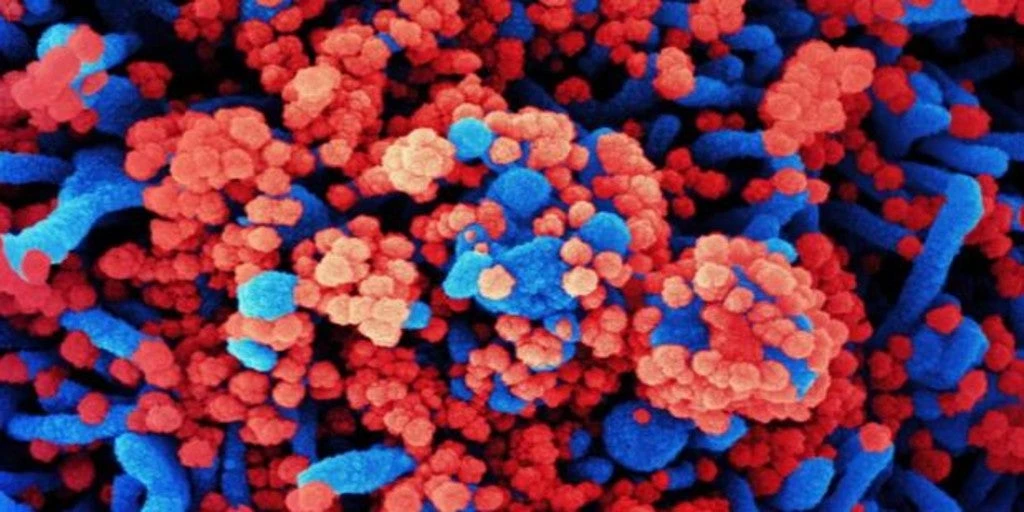 El virus del Covid-19 puede sobrevivir 28 días a 20 grados, según un estudio