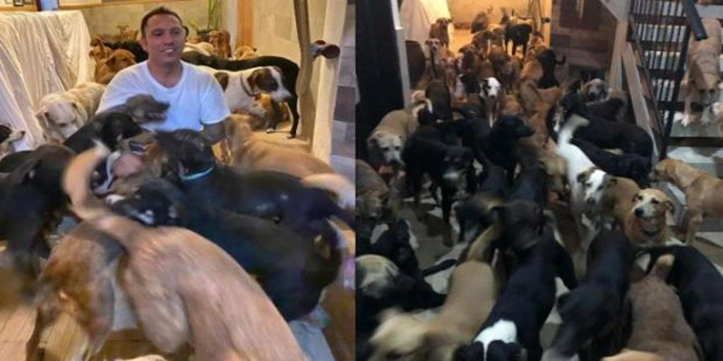 Un hombre acoge en su casa a 300 perros callejeros para protegerlos del huracán Delta 