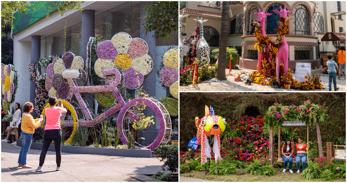 Las flores adornarán parques y fachadas de Polanco en festival del 3 al 6 de abril