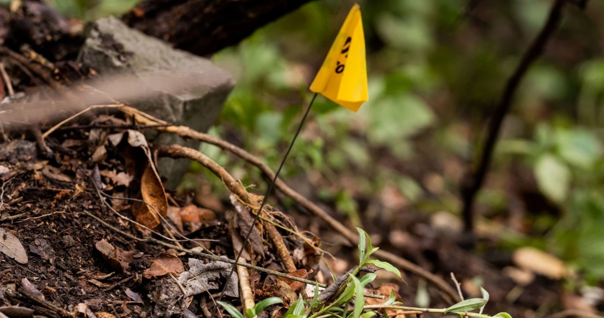 Senado aprueba reforma para fortalecer búsqueda de personas desaparecidas en México